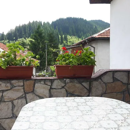 Denitsa *